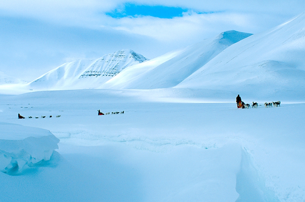 Vacante Svalbard